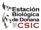 csic logo